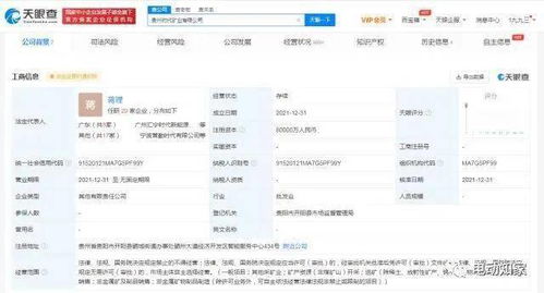 寧德時(shí)代成立礦業(yè)公司，新材料技術(shù)推廣服務(wù)助力產(chǎn)業(yè)升級(jí)