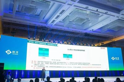 引領N型技術新浪潮，林洋能源發布高效N型單晶雙面組件